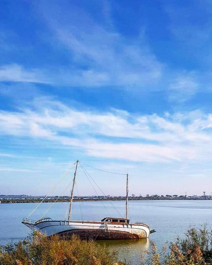 Studio 237 Port Camargue, Piscine, Climatisation, 2 Personnes Льо Гро-дю-Роа Екстериор снимка